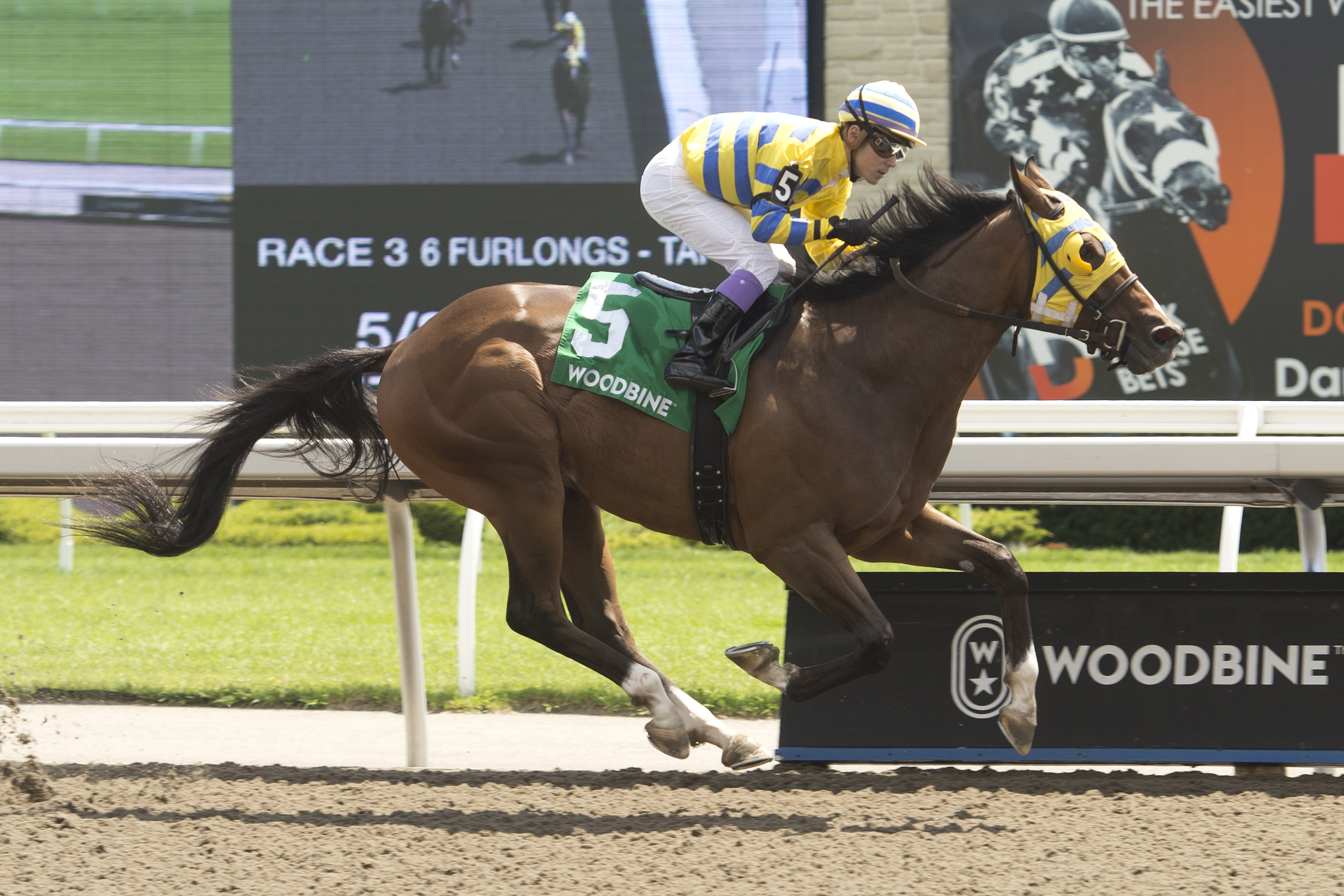 Patches O'Houlihan and jockey Daisuke Fukumoto winning the Lake Superior Stakes on July 30, 2023 at Woodbine (Michael Burns Photo).