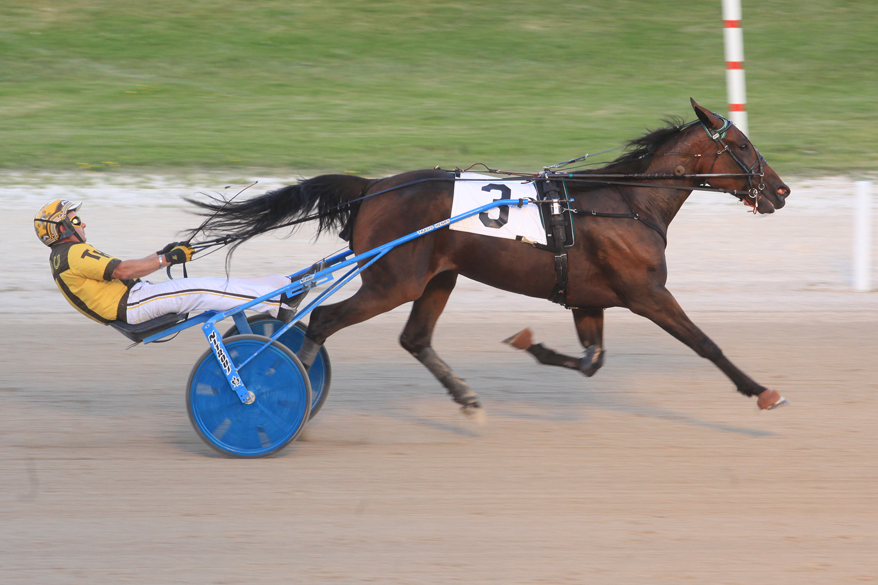 Henry, MacDonald and Steacy all double up in OSS at Grand River