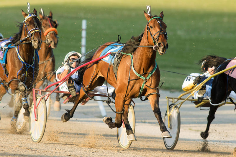 Card drawn for 30th Industry Day at Grand River Raceway