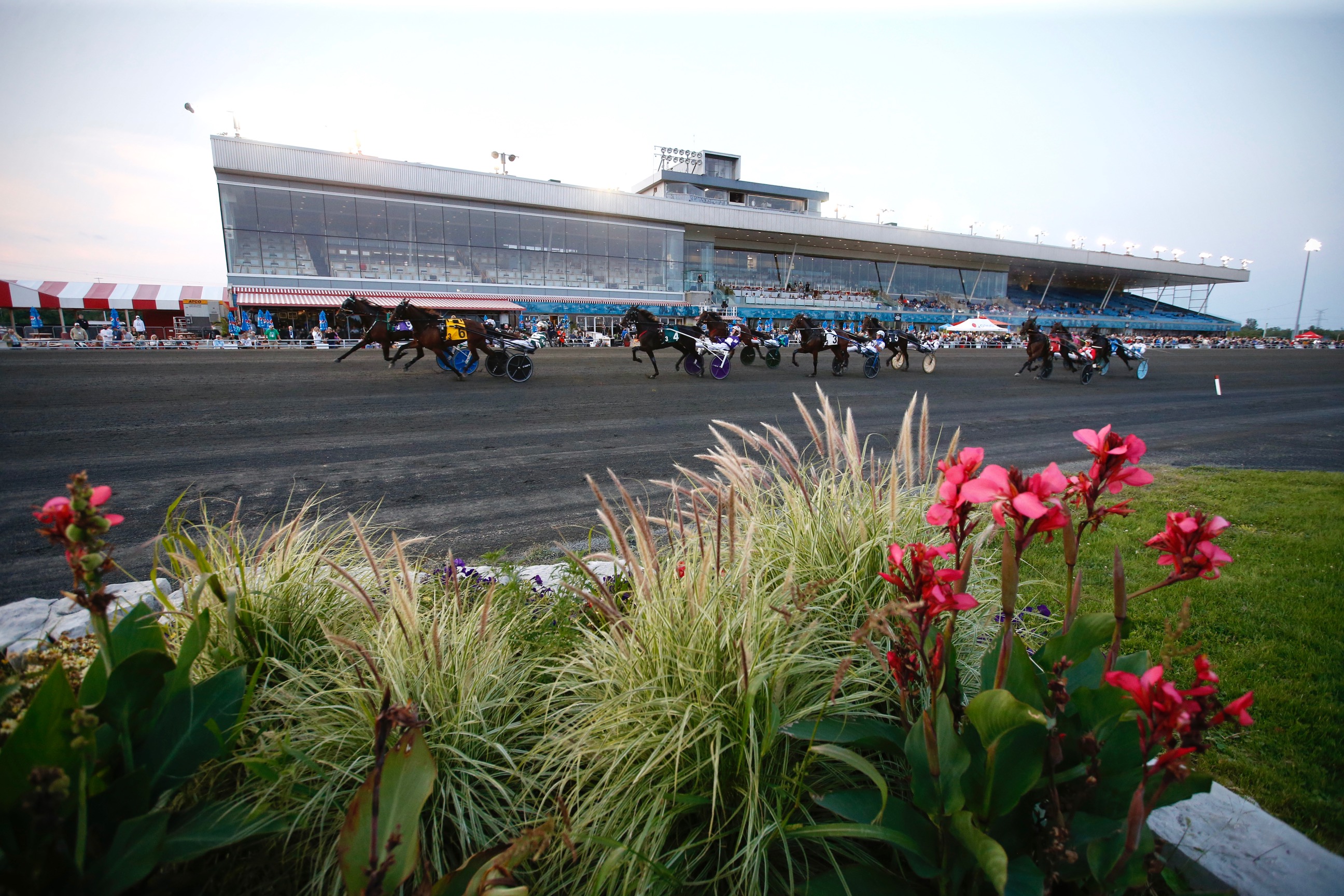 Update on return to racing plan for horses in Barn 1 at Dorchester Downs