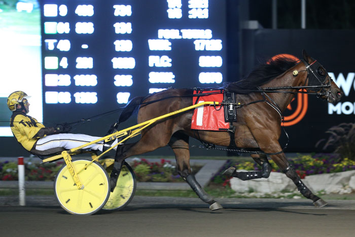 Perfetto and Say You Do rebound with Grassroots wins