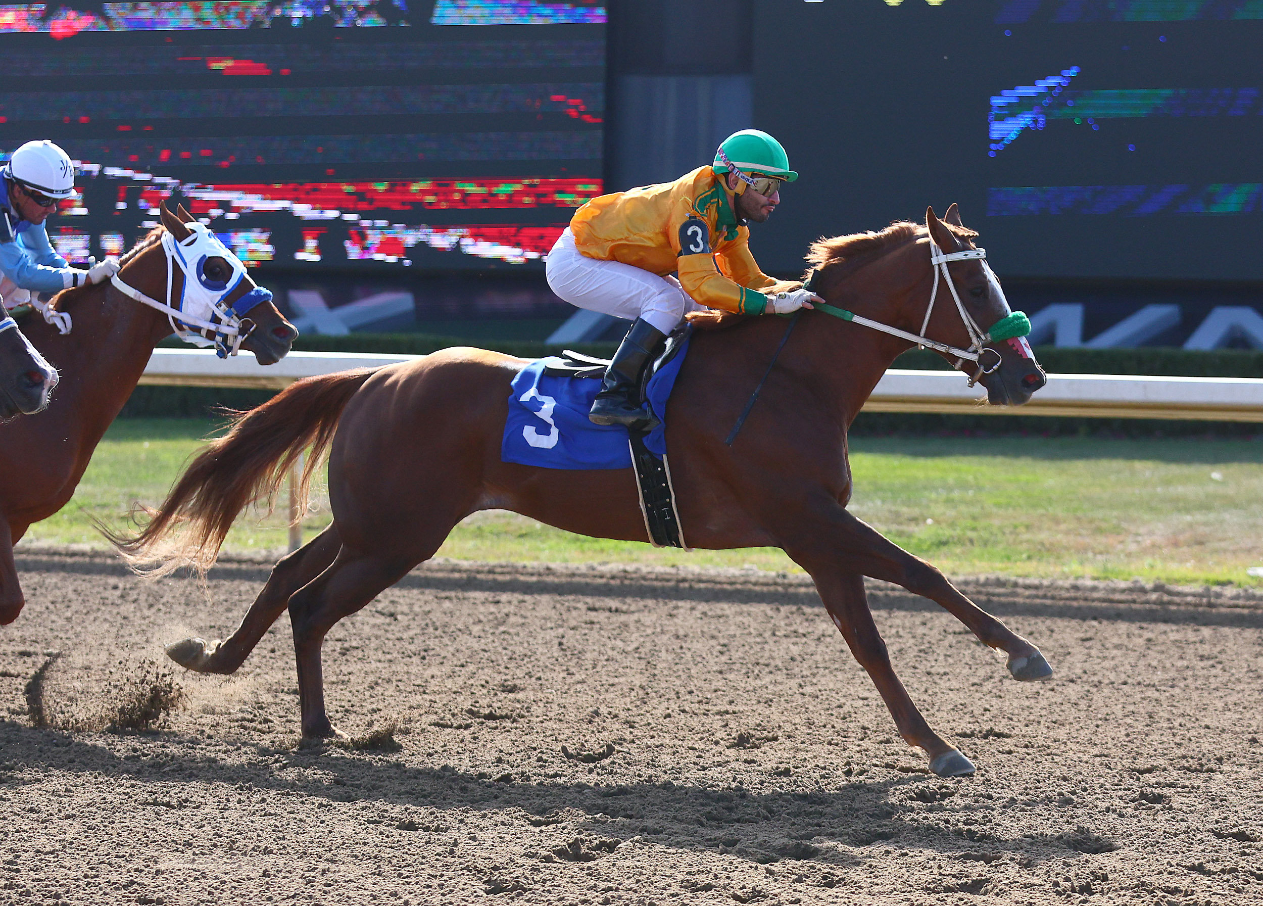 'Dream' Horse for Angelle Carter Advances to OSS Derby Final