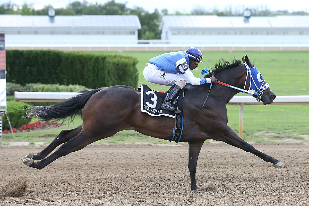 VIC-TORY in the Bank of America! - Ontario Racing