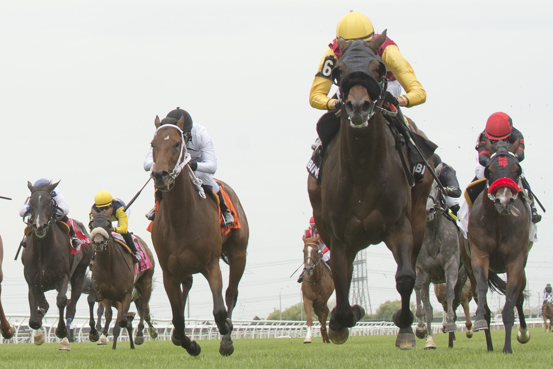 Souper Sunday and jockey Eswan Flores winning the Georgian Bay Stakes on July 8, 2023 at Woodbine (Michael Burns Photo)