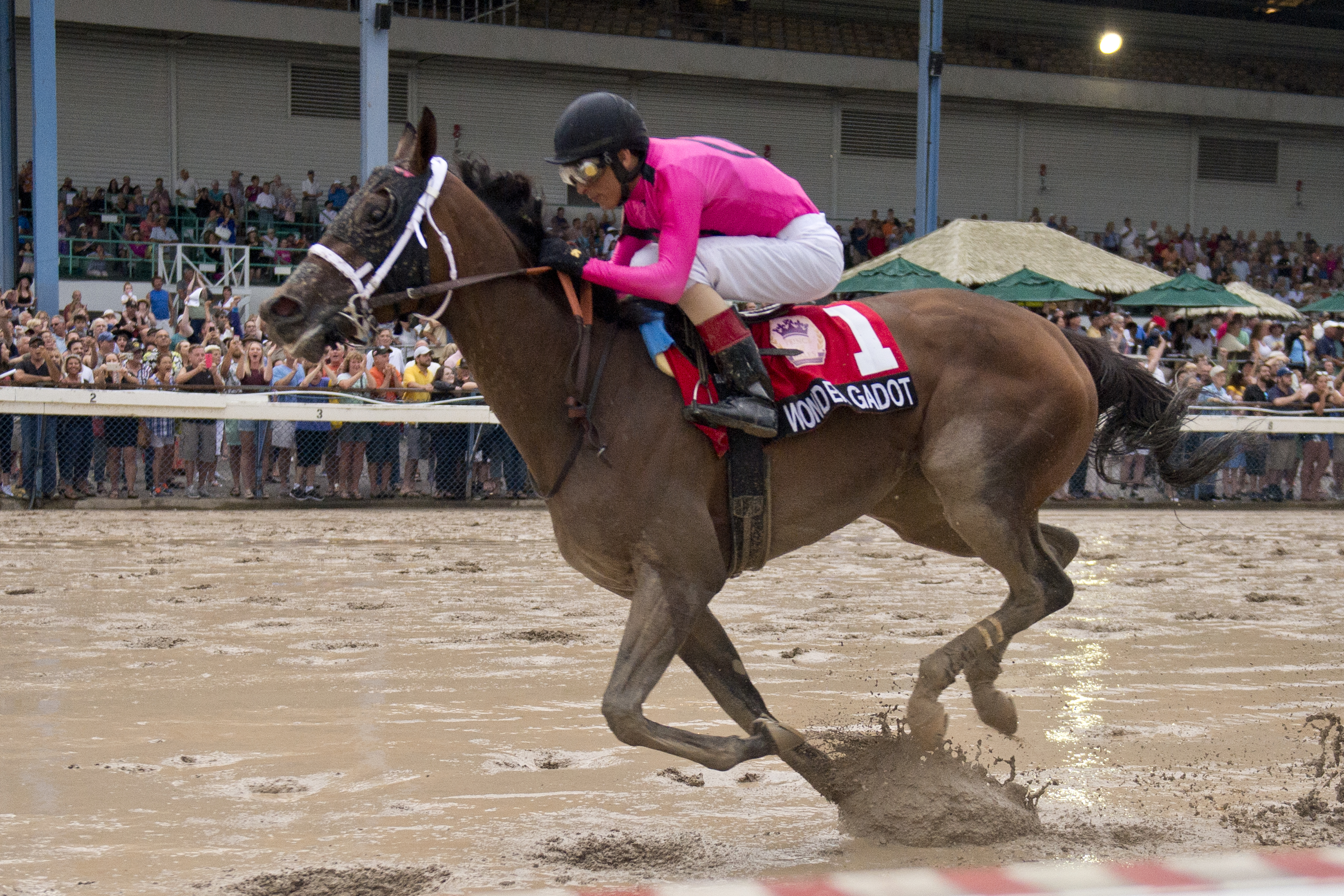 Wonder Gadot simply wonderful in Prince of Wales