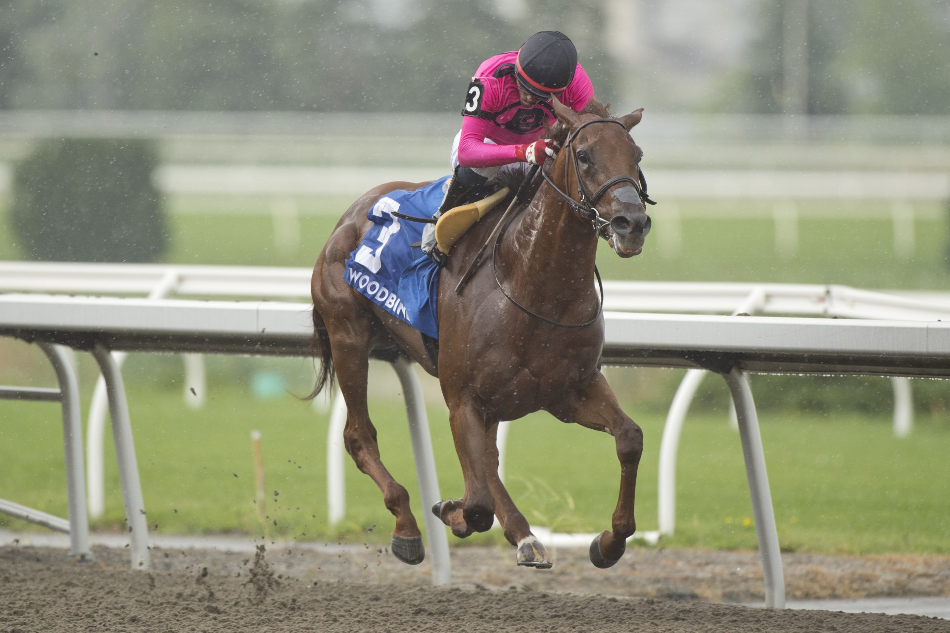 Paramount Prince and Patrick Husbands winning Sunday's Plate Trial. (Michael Burns Photo)