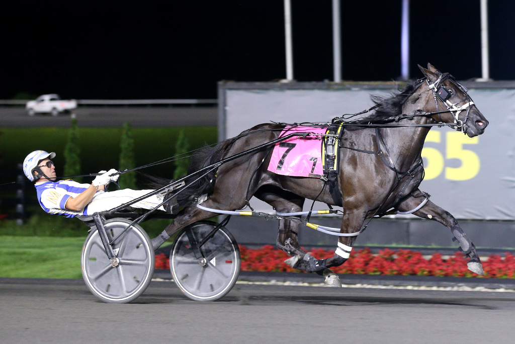 Chantilly, Wickedpace extend win streaks in Ontario Sires Stakes Gold Series