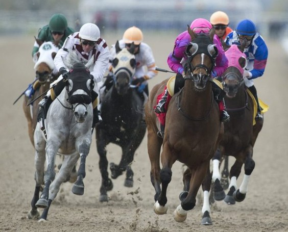 Woodbine CEO Jim Lawson Steps Up For Horse Racing