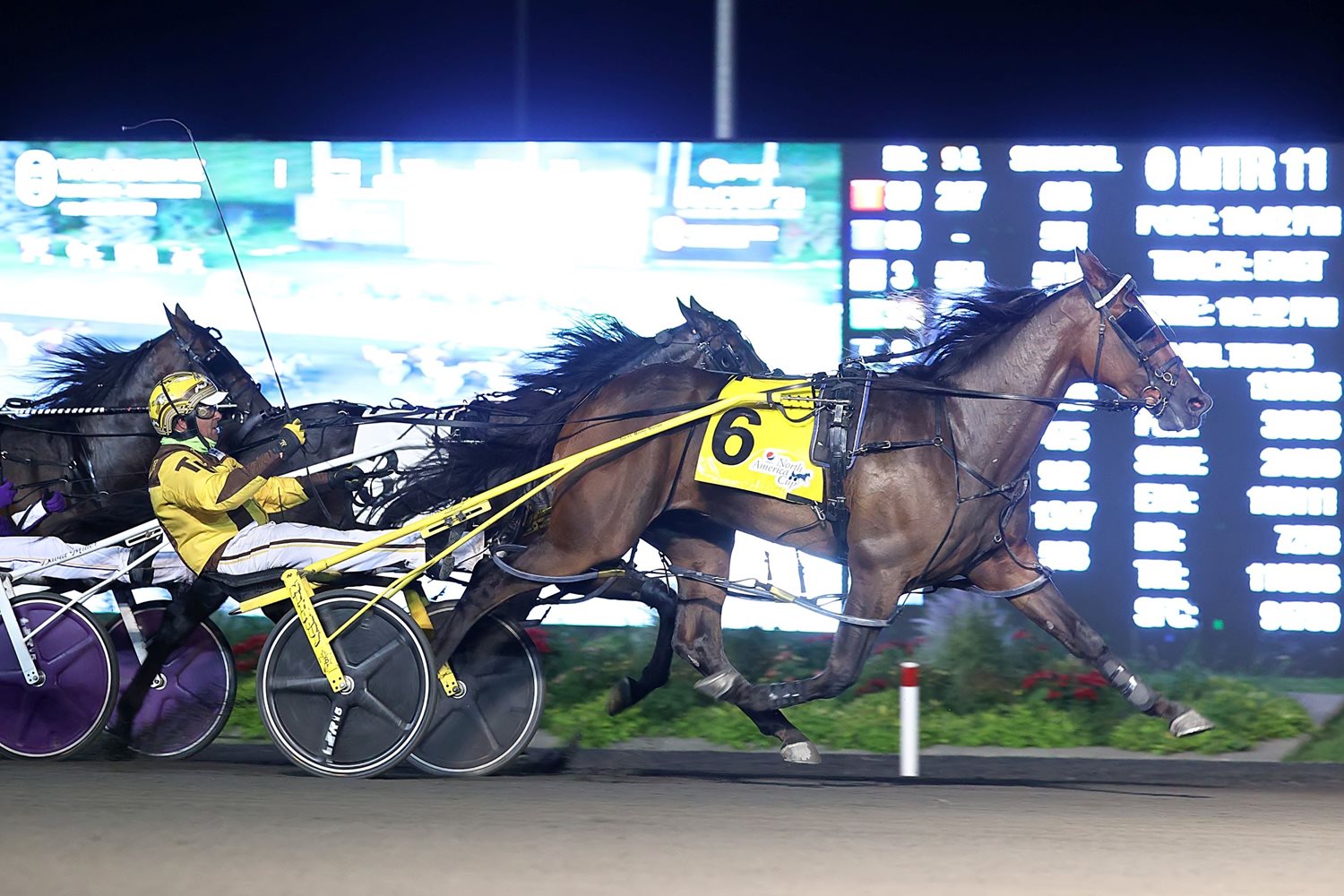 2021 Ontario Sires Stakes season was full of highlights