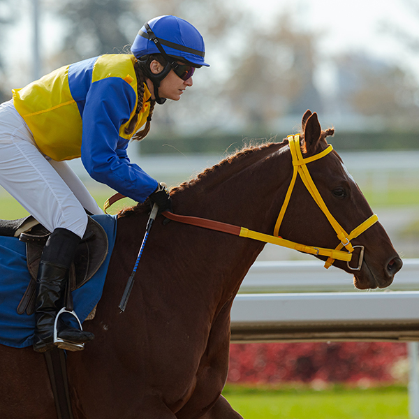 Racing Results And Standings Ontario Racing