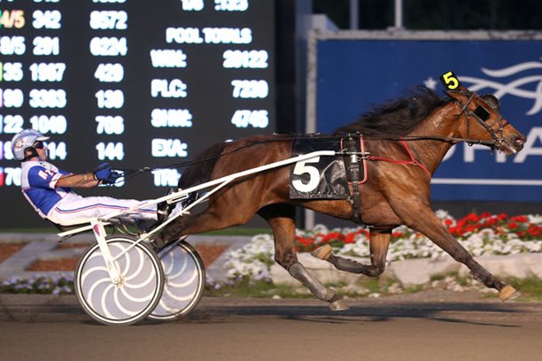 Fillies deliver personal best efforts in final Grassroots Leg