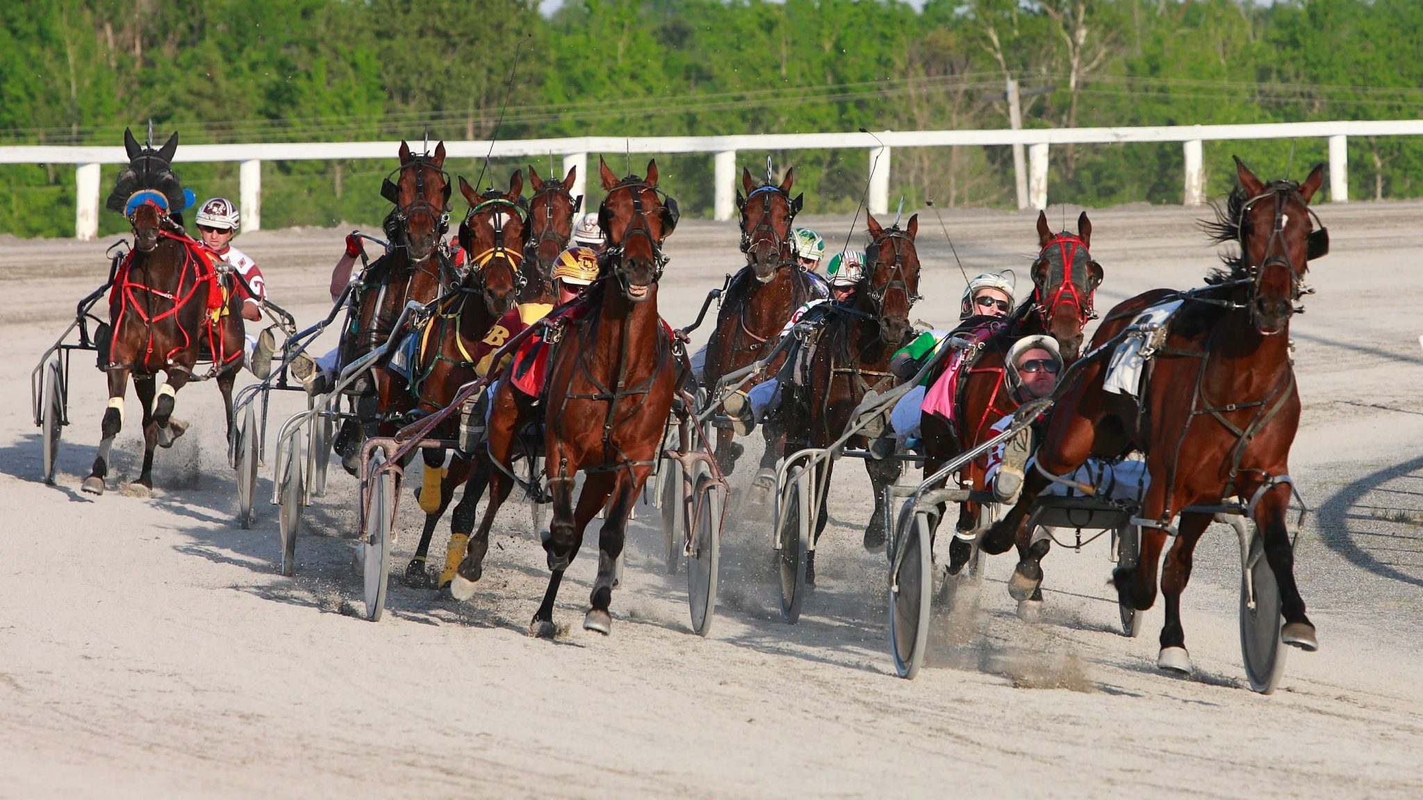 Garnet Barnsdale’s Kawartha Downs Selections: Saturday, June 15, 2019