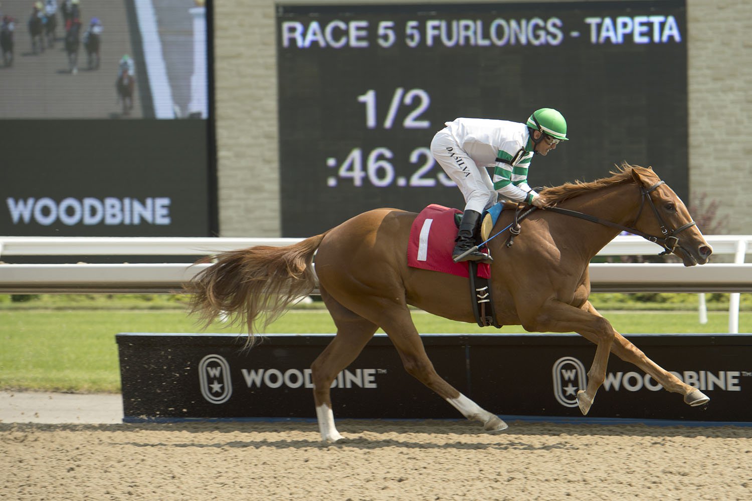 The backstretch is bustling at Woodbine