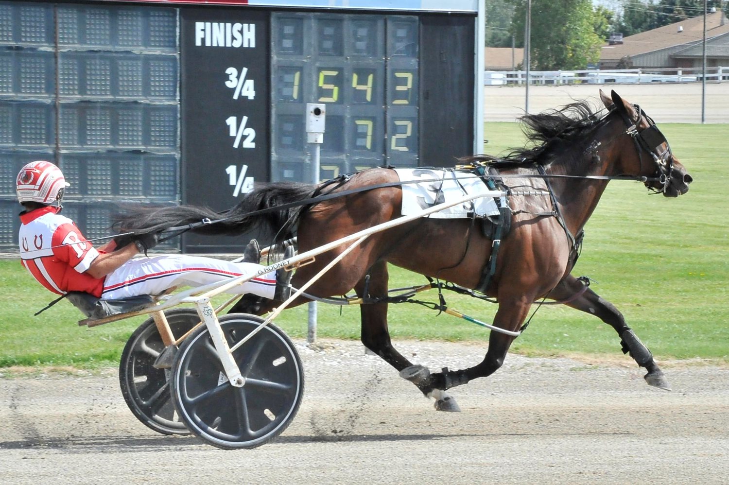 Garnet Barnsdale’s Flamboro Downs Selections for Thursday, October 14, 2021