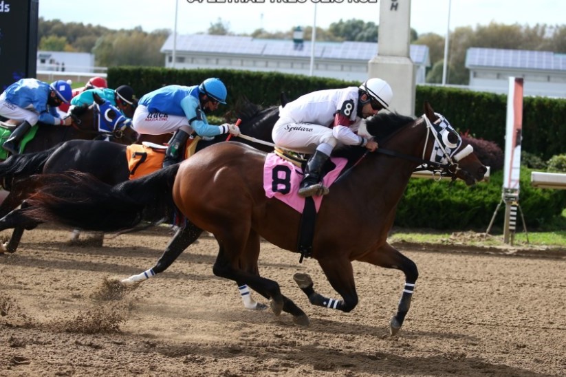 $115,290 Alex Picov Memorial Futurity Headlines Ajax Downs' biggest day October 27