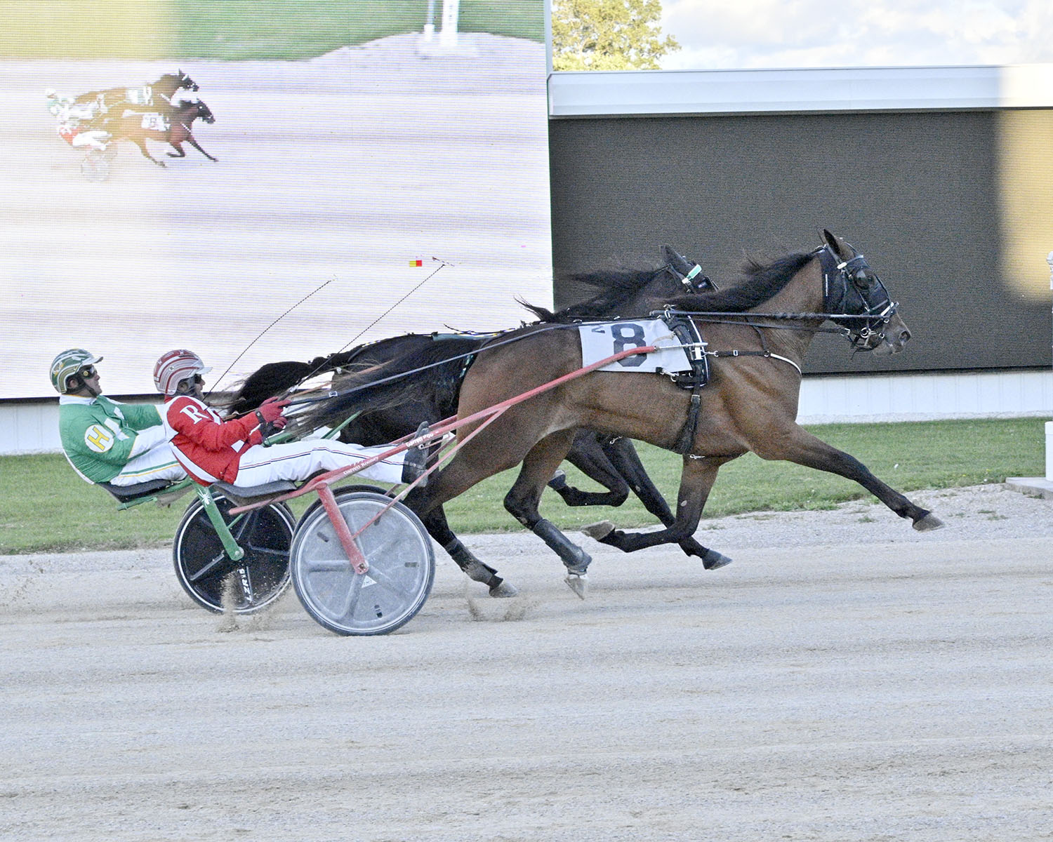 Grassroots rookie filly trotters help close out OSS 50th Anniversary celebration in style