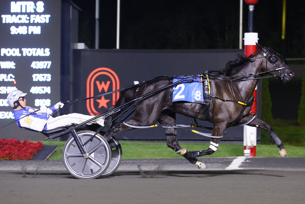 Chantilly Stays Undefeated with Win in Shes A Great Lady