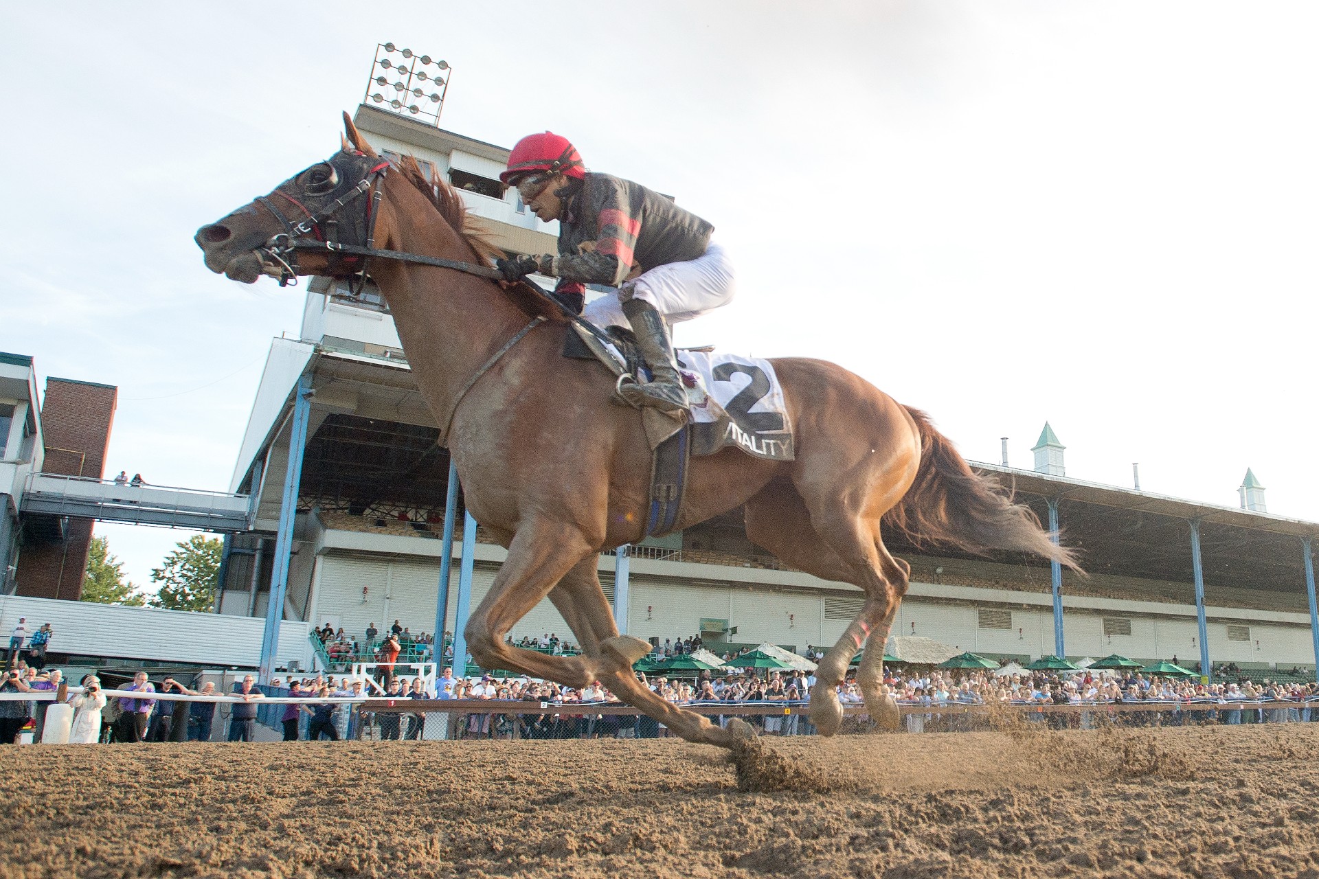 Vitality claims 89th Running of Prince of Wales Stakes at Fort Erie Race Track