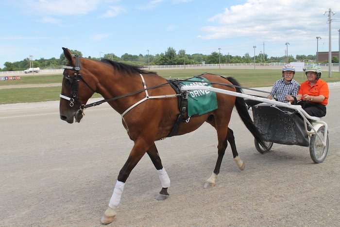 Hands on Horses a big hit with fans