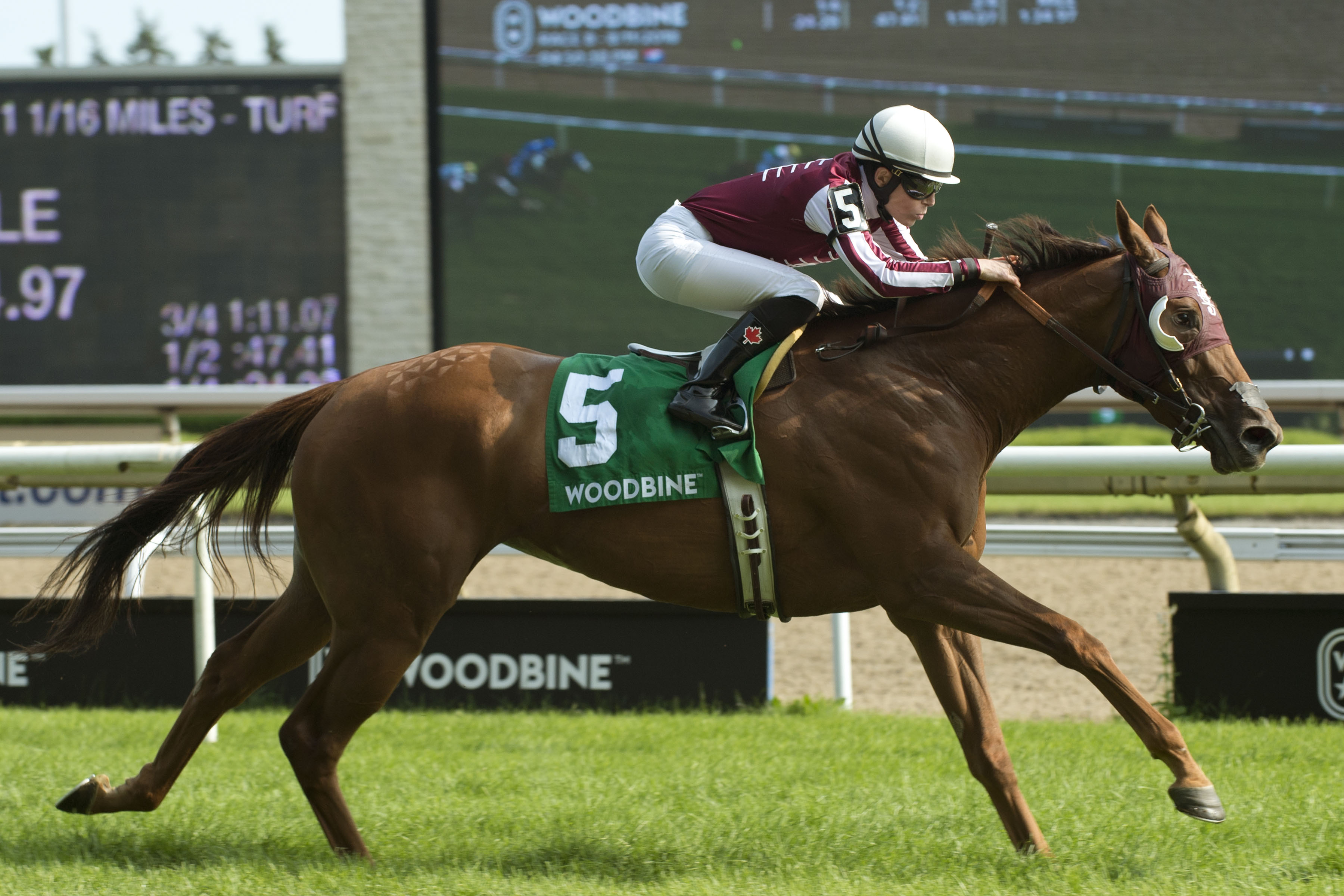 Ballade Stakes: Red Cabernet looks to hit all the right keys for Piano Bar Racing