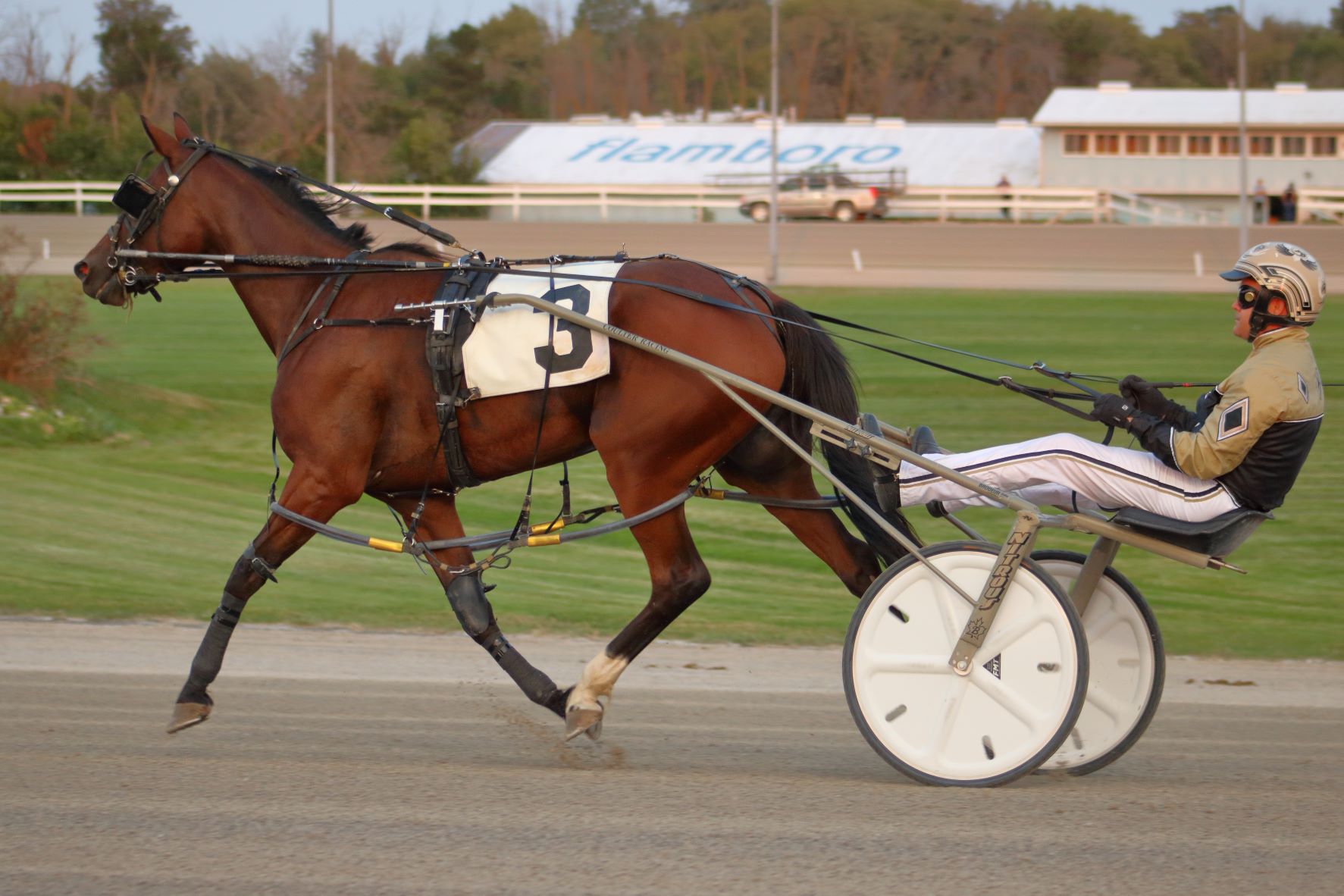Garnet Barnsdale’s Flamboro Downs Selections: Thursday, September 16, 2021