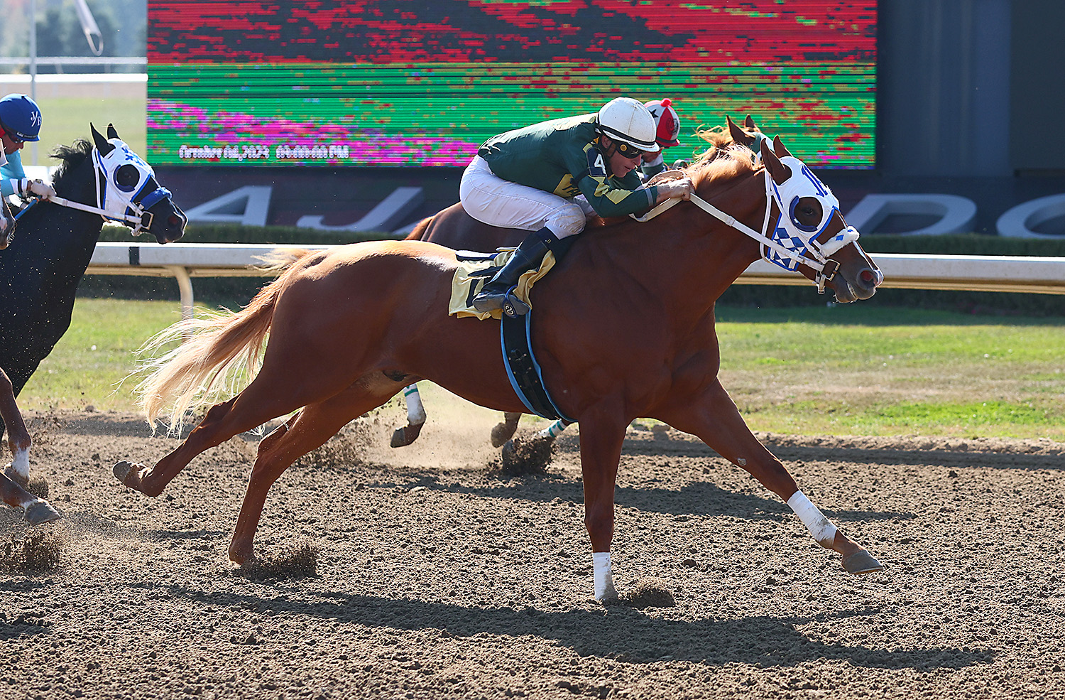 Alex Picov Memorial Futurity Trial Results Set Up for Contentious Final