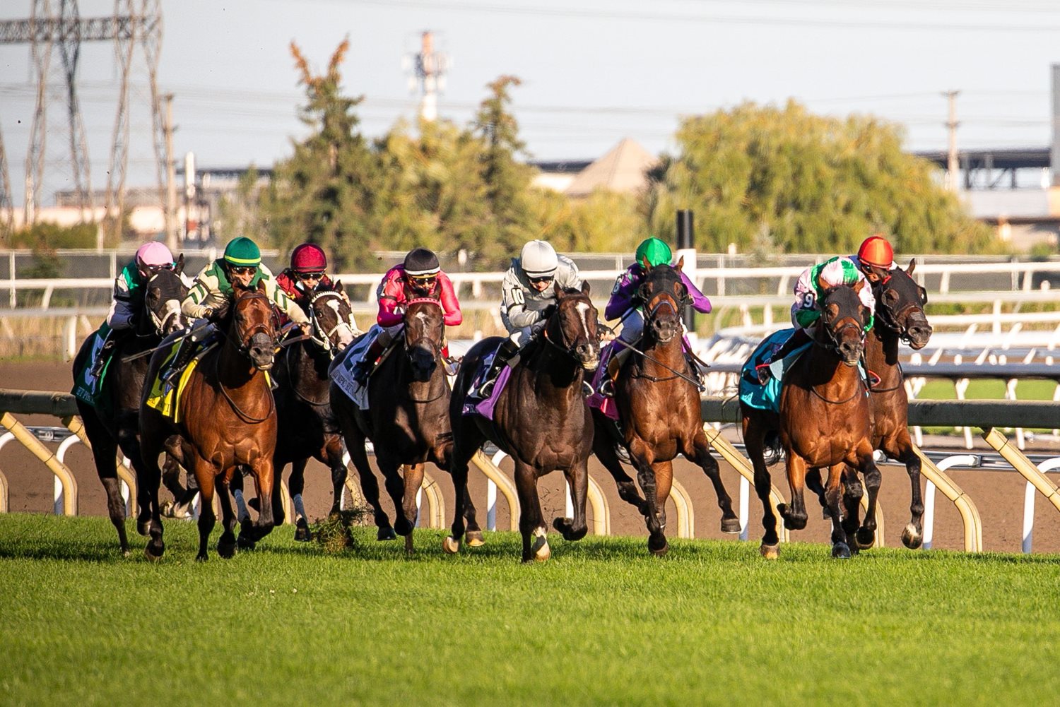 Jennifer Morrison’s Woodbine Thoroughbred Selections: Thursday, October 21, 2021