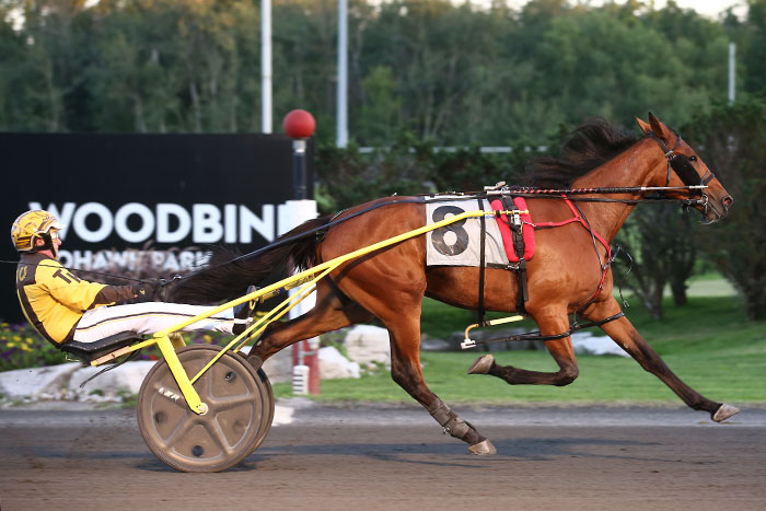 McIntosh’s tailor-made trotters set for Semi-Finals