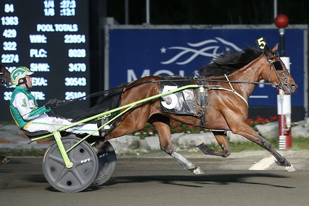 Grassroots fillies highlight Dresden Raceway’s Canada Day program