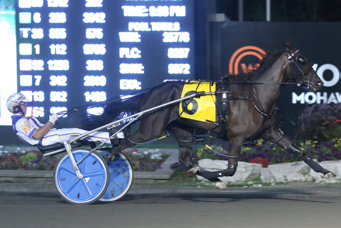 Freya Seelster’s Grassroots win the fastest, but most bittersweet