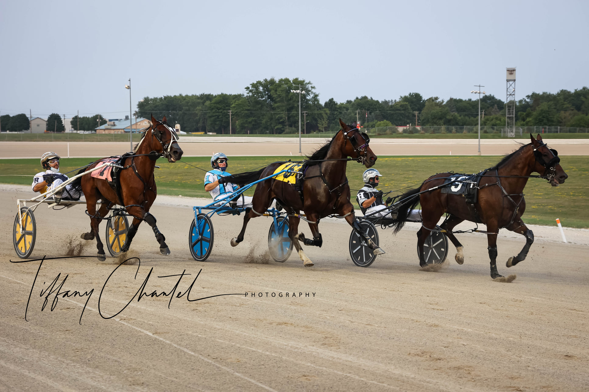 Bet Now – Horse Racing | Ontario Racing - Ontario Racing