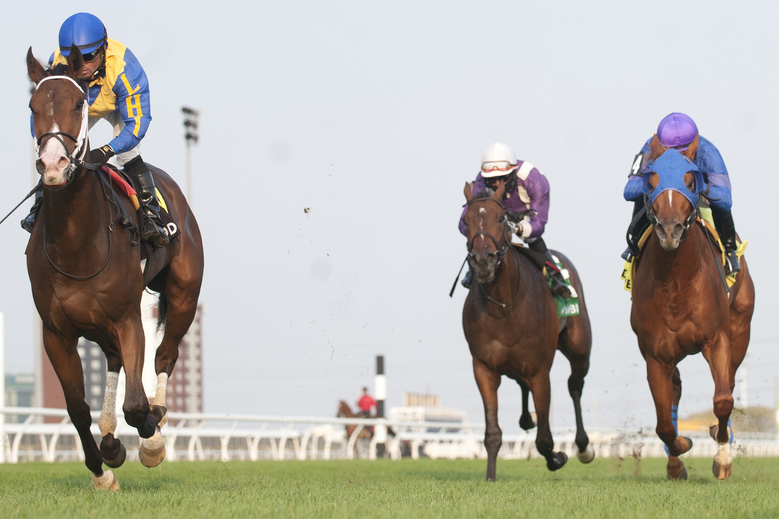 Avoman goes for another stakes crown, this time in Frost King