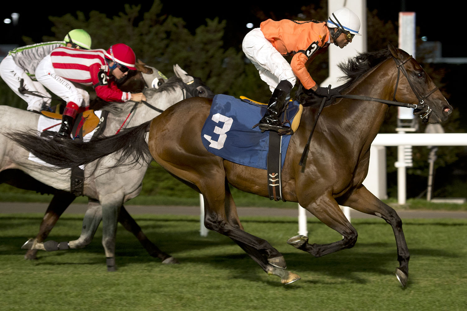 Reconfigure wins Woodbine Turf Sprint Series final