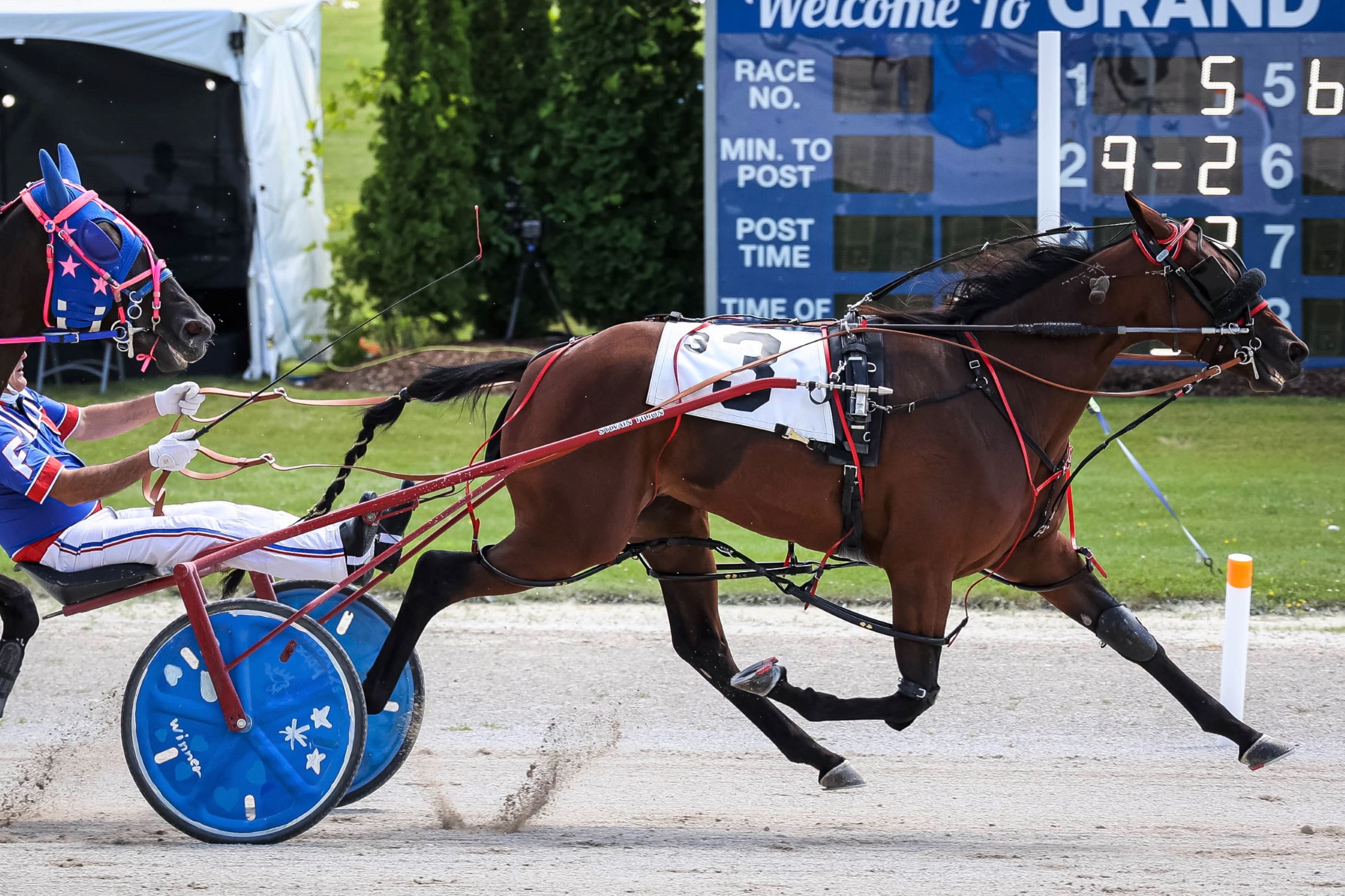 Voelz Delight equals track record on Industry Day