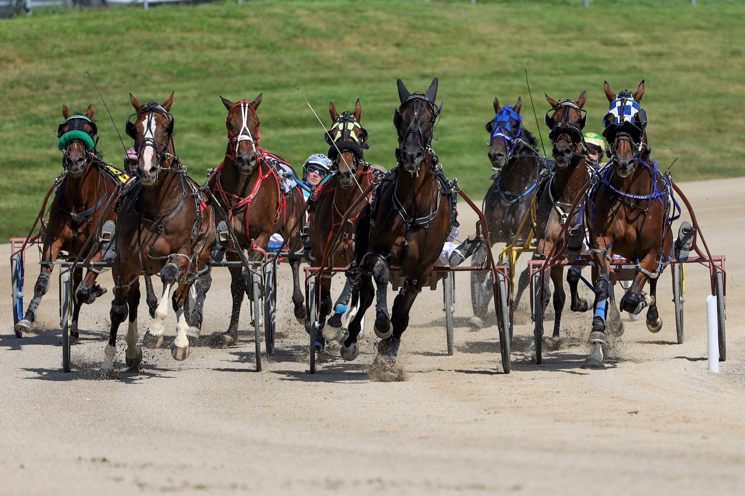 Michael Carter’s Flamboro Downs Selections: Wednesday, October 6, 2021