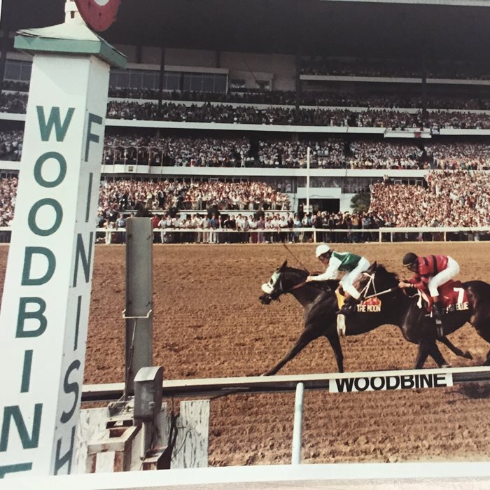 The horse that changed my life: Keith McCalmont and Key to the Moon