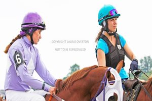 Quarter Horse edition: the Horse that Changed my Life