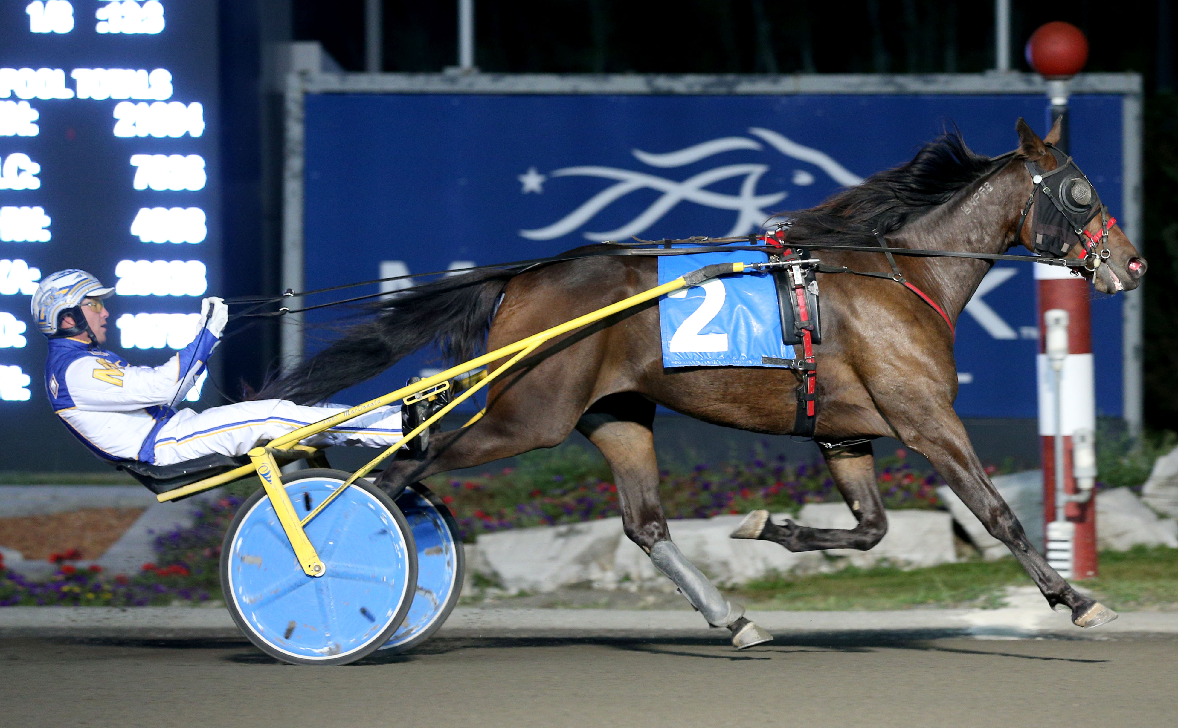 Grassroots champions sparkle at Mohawk Racetrack