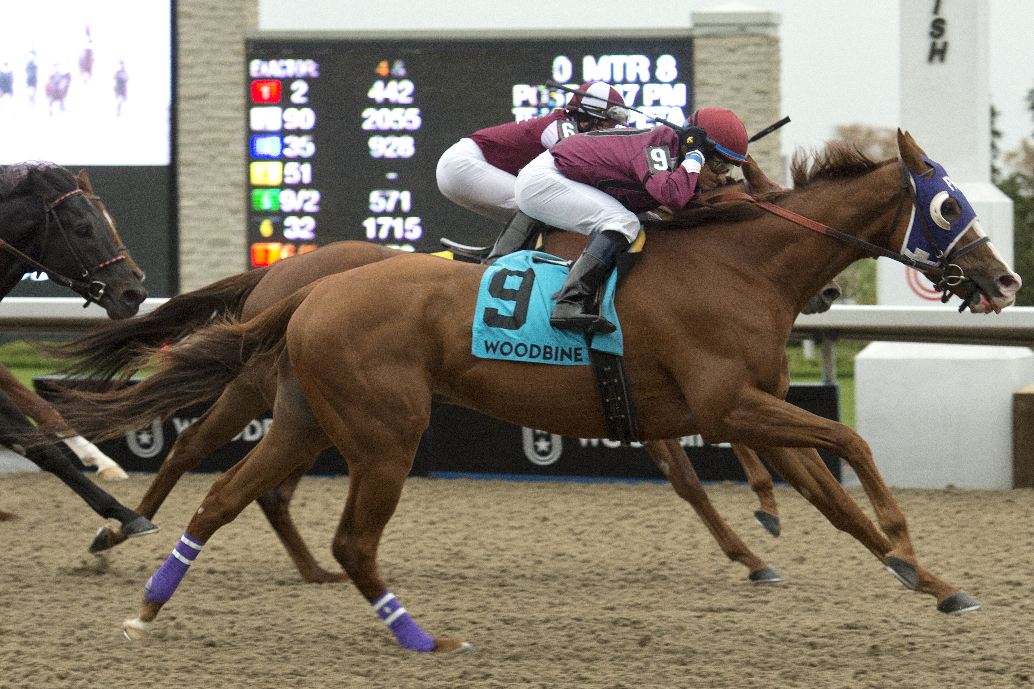 Thor’s Rocket launches to victory in Overskate Stakes