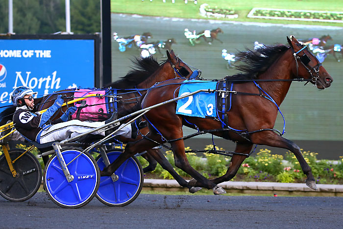 Freshman pacing fillies make impressive Gold Series debut