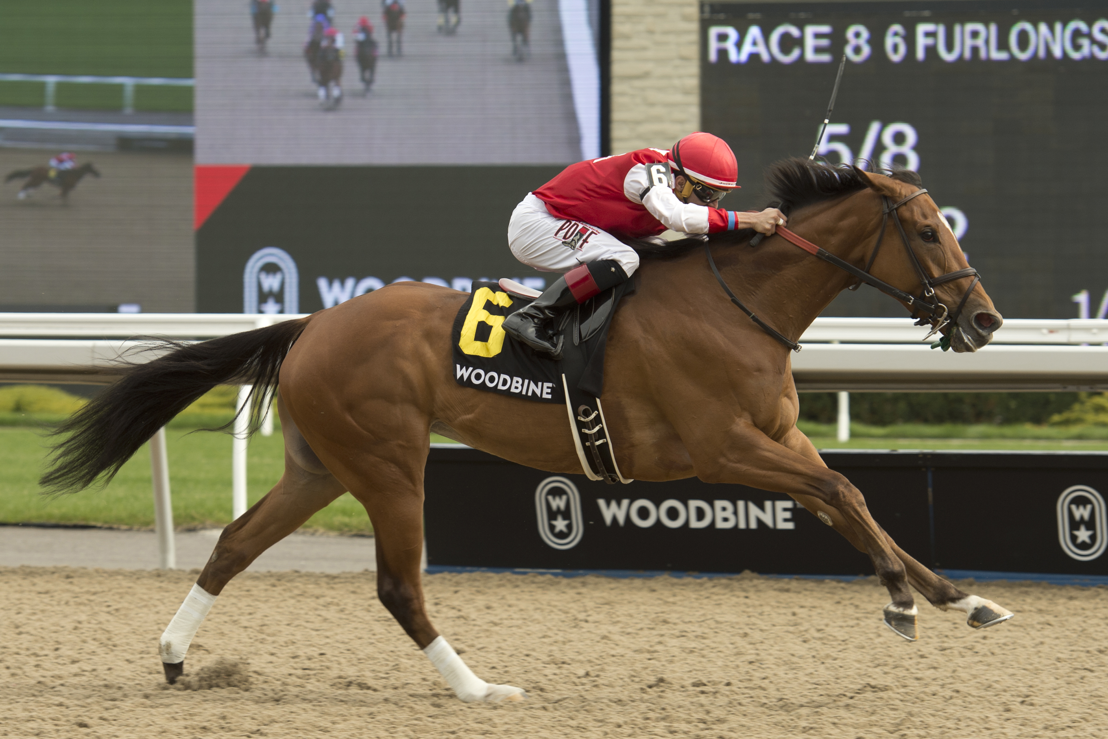 Summer Sunday keeps perfect Woodbine record with Ballade Stakes score