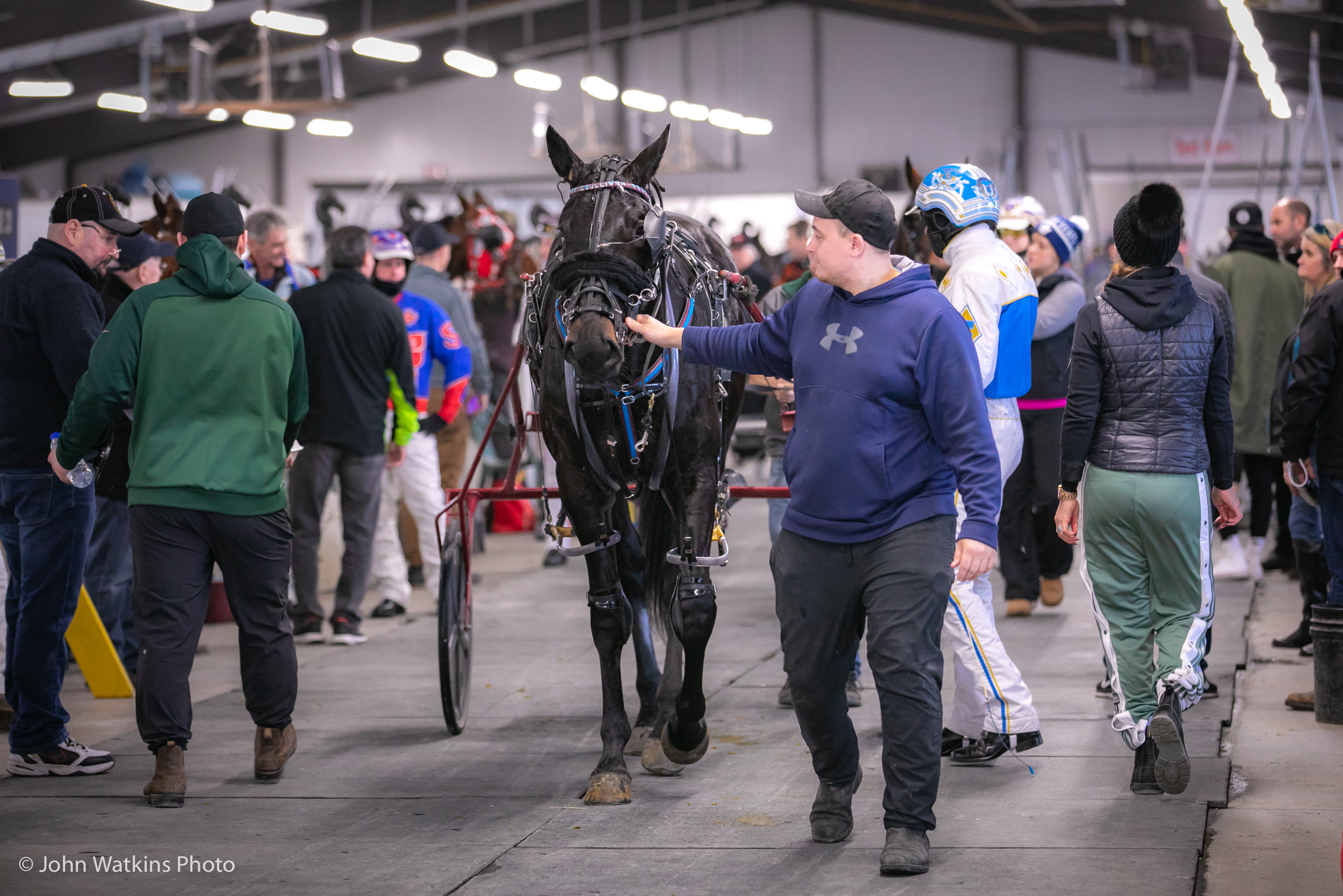 The Greatest Bet in Harness Racing