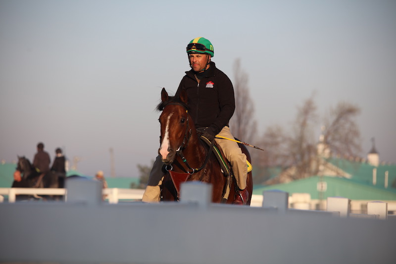 Canadian Premier Yearling Sale sees 204 horses purchased