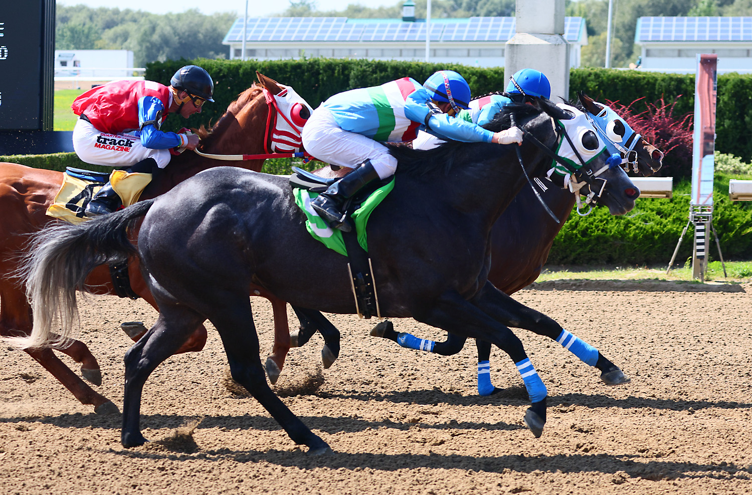 Two horses owned and trained by James Bogar landed in a dead-heat  for win in race 2. Jezzabella (inside) and Bogie Wheels could not be separated  by the photo finish camera