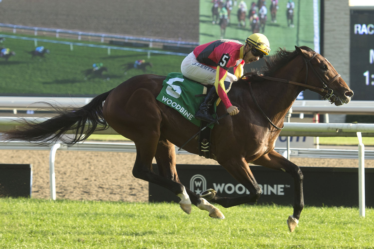 Coronation Futurity and Kennedy Road highlight Saturday’s Woodbine card