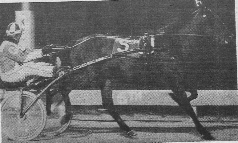 In 1985, Lou Macs Dream, the son of Dream of Glory-Ruthie, trotted his way into the record books thanks in part to his numerous victories in OSS events.