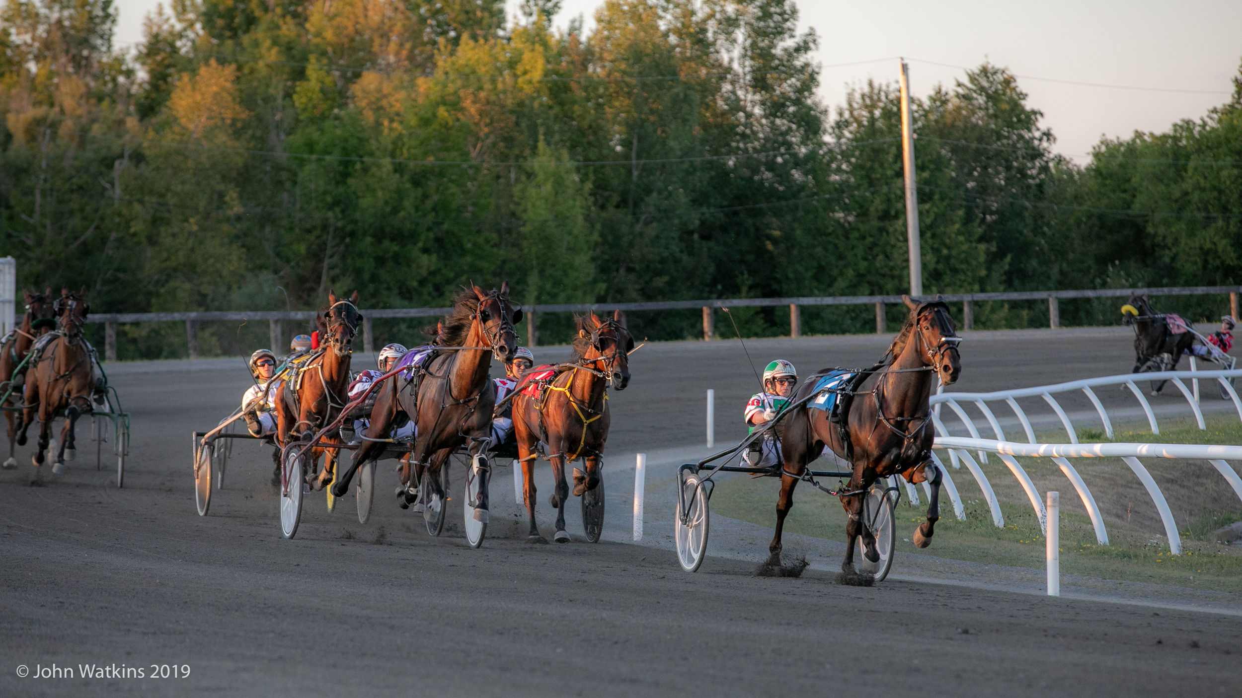 Garnet Barnsdale’s Kawartha Downs Selections: Saturday, August 1, 2020
