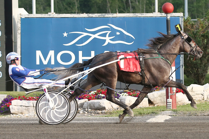 Freshman pacing colts impressive in Gold and Grassroots