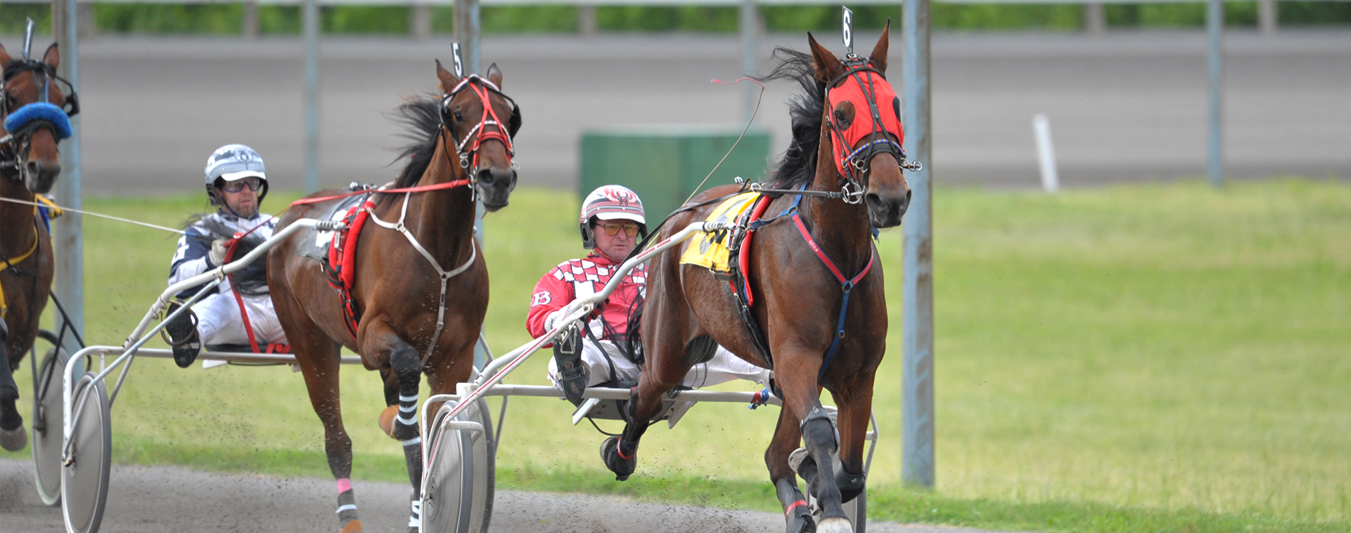 Melissa Keith’s Rideau Carleton Raceway Selections: Sunday, September 27, 2020