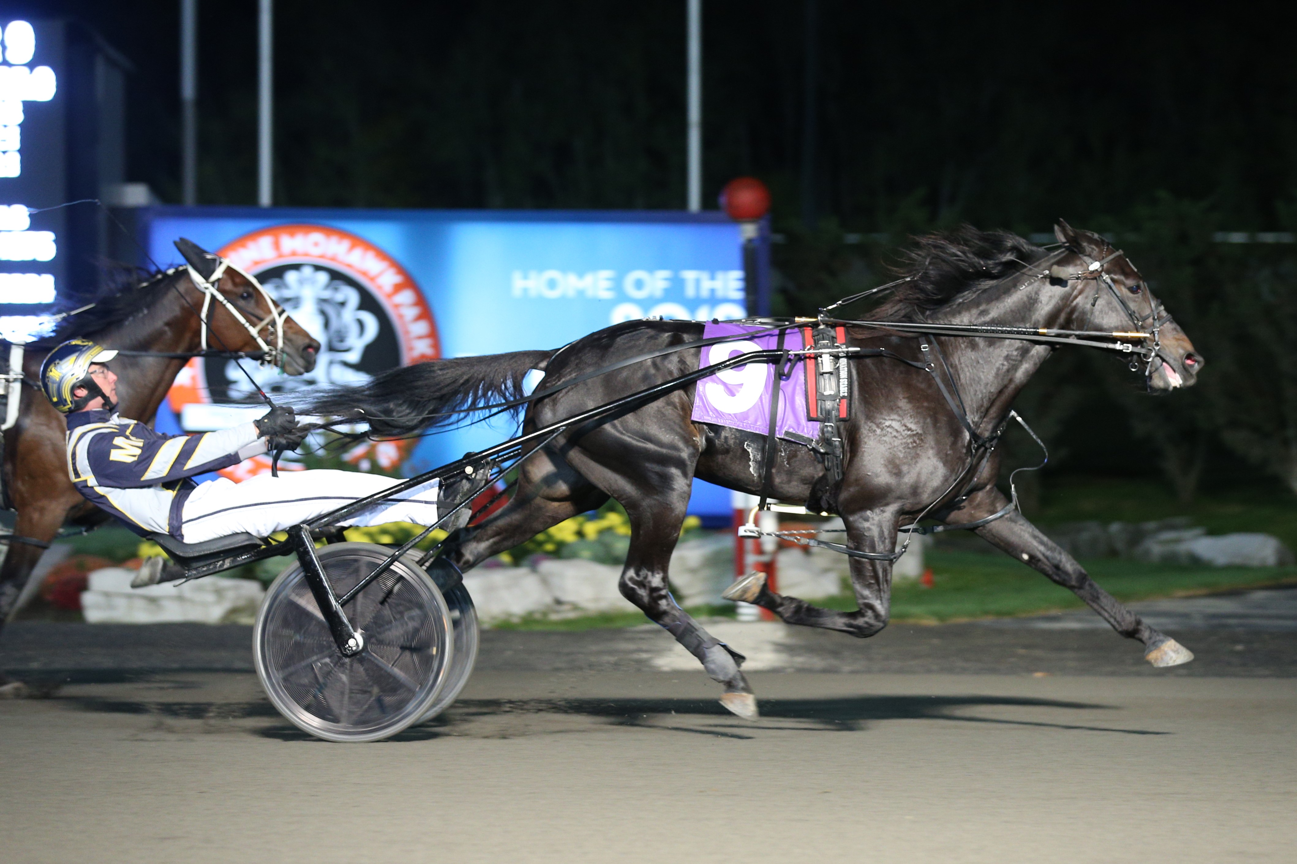 Forbidden Trade defends Super Final title